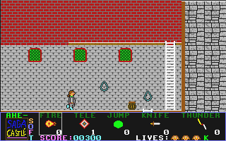 Saga Castle atari screenshot